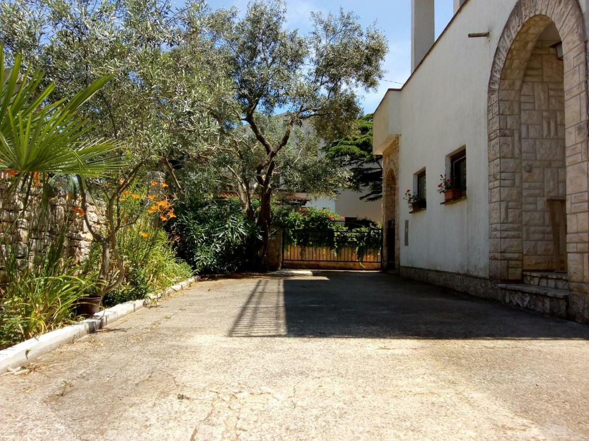 מדולין Apartments Dora מראה חיצוני תמונה